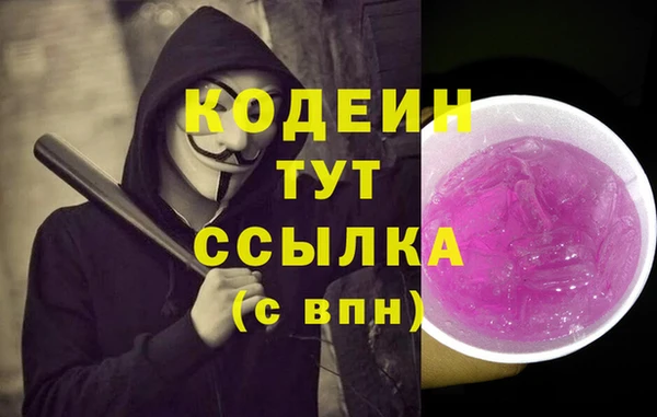 бошки Няндома