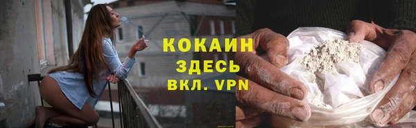 индика Весьегонск