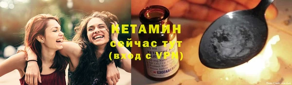 твердый Новозыбков