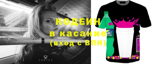 индика Весьегонск