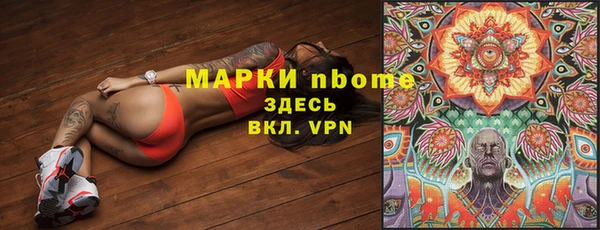сатива Новодвинск