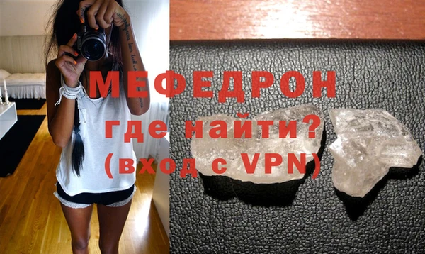 сатива Новодвинск