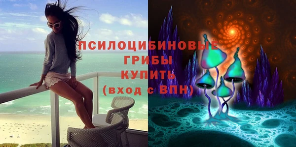твердый Новозыбков