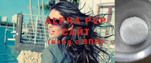 индика Весьегонск
