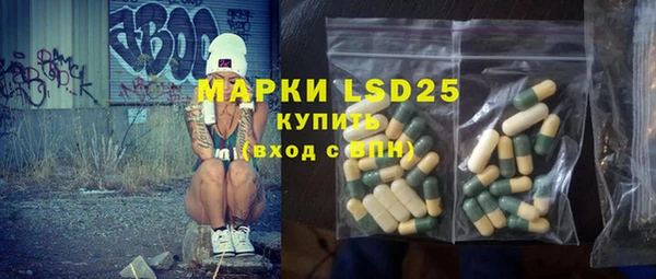 индика Весьегонск