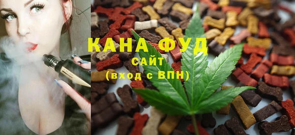 индика Весьегонск