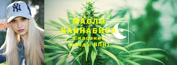 сатива Новодвинск