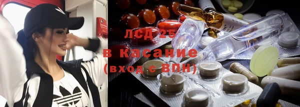 твердый Новозыбков