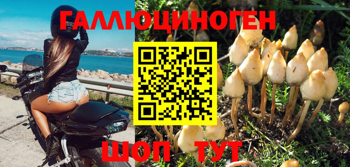 ГАШИШ  A PVP СК кристаллы  COCAIN  Каннабис  Меф кристаллы  Крымск  ЭКСТАЗИ  ГАШИШ  Вход с VPN 